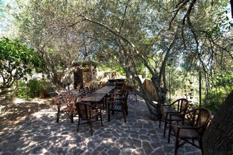 Villa Arancio Giorgio Cala Liberotto Exterior foto