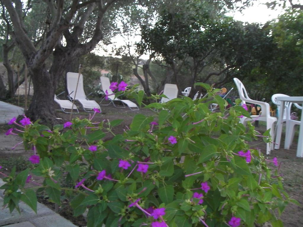 Villa Arancio Giorgio Cala Liberotto Exterior foto
